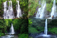 Rekomendasi Objek Wisata Air Terjun Banyuwangi Yang Wajib Kalian Kunjungi?