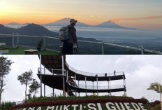 Eksplorasi Wisata Alam Wana Mukti Siguede di Magelang yang Mempesona dan Kecantikan Sunrise yang Menakjubkan 