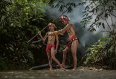 Menjelajahi Kehidupan Terisolasi, Cerita Misteri Suku Paloh dari Kalimantan