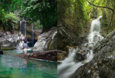 Rekomendasi Air Terjun di Padang, Spot Liburan Alami yang Menenangkan