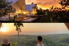 Kemewahan Glamping di Tengah Alam, Giri Wanara Glamping Resort!