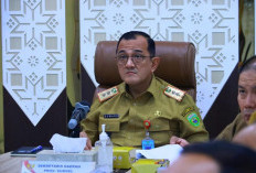  Waspadai Lonjakan Harga Emas dan Pangan