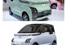 Kecil-Kecil Cabe Rawit! Ternyata Ini Alasan Wuling Air EV Masih Lebih Unggul dari Mobil Listrik Gede 
