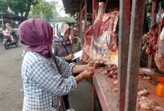 Pastikan Ketersediaan dan Kestabilan Harga Bapok