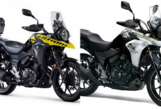 Harga Terbaru Juli 2026 Suzuki V-Strom 250 Resmi Terungkap, Cek Daftar Harganya Disini!