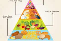 Mau Kulit Wajah Glowing? Ini Pola Makan yang Harus Anda Ikuti!