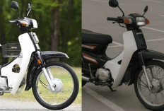 Beli Motor Bekas 3 Jutaan? Simak Plus Minus Astrea Grand 1996 Sebelum Menyesal