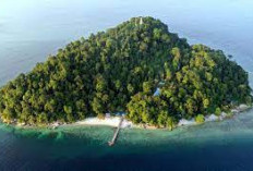 Mengintip Keindahan Habitat Flora Dan Fauna Bawah Laut Yang Eksotis: Pulau Berhala