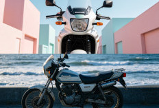 Kawasaki KLE500, Motor Adventure Legendaris yang Tetap Nyaman untuk Touring dan Harian