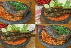 Rahasia Resep Sambal Lele Makyus yang Bikin Nambah Terus, Ternyata Begini Cara Membuatnya di Rumah!