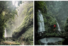 Air Terjun Kali Tomohon, Pesona Alam yang Menanti di Tengah Hutan Tropis