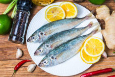 5 Manfaat Ikan Kembung Sebagai Sumber Protein Berkualitas Tinggi