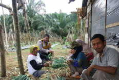 Ingatkan Petani, Waspada Aksi Kriminal Mengintai