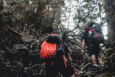 Penampakan Makhluk Misterius di Sekitar Jalur Pendakian Gunung Klabat