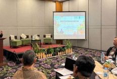 Bongkar Jaringan Kejahatan Kehutanan