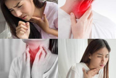 Jangan Khawatir Guyss! 5 Tips Praktis Untuk Tenggorokan Sakit