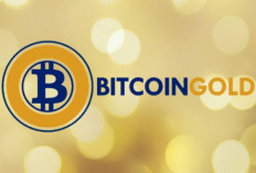 Melihat Bitcoin Gold, Pemimpin Baru dalam Dunia Kripto Tahun 2024 Ini