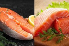 Jarang Diketahui Inilah Manfaat Ikan Salmon Untuk Kesehatan Tuibuh Yang Luar Biasa!