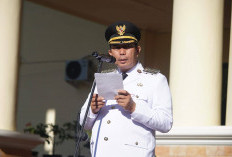 Dorong Inovasi dan Pelayanan Publik