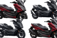 Harga Terbaru Honda Forza 250 Juli 2026 Resmi Terungkap, Segini Banderolnya dan Apa Saja Keunggulannya!