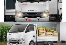 Isuzu TRAGA Box: Pick-Up Super Tangguh yang Bisa Bawa Segudang Barang, Solusi Bisnis  Paling Cuan di 2026
