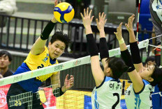 Wipawee Srithong Gantikan Megawati Hangestri