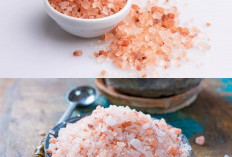 Garam Himalaya: Bumbu Dapur atau Superfood? Ini Fakta Menariknya
