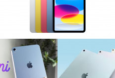 Jangan Asal Pilih, Ini Panduan Lengkap Memilih iPad 2025, Tentukan Pilihanmu Sesuai Kebutuhan!