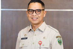 Tiga Sektor Pajak Tembus Target 2025