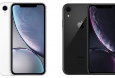 Review iPhone XR: Masih Layak Dipakai di 2026? Ini Kelebihan dan Kekurangannya!