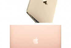 Inilah Keajaiban MacBook Air M1 yang Bikin Kerja Seharian Jadi Tenang Tanpa Gangguan Suara Mesin!