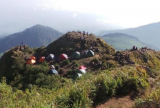 Serunya Mendaki Gunung Ungaran: Temukan Jalur Favoritmu di Sini!