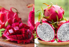 Penuh Nutrisi! Ini dia 7 Manfaat Buah Naga Rahasia Kulit Sehat dan Awet Muda yang Wajib Dicoba