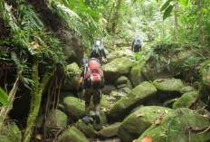 Menyibak Keindahan Pegunungan Boliyohuto: Surga Tersembunyi di Jantung Sulawesi