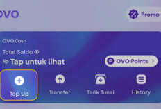 Keren Banget, Ini Sejarah Aplikasi Ovo Rilis di Indonesia