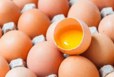Vitamin dan Mineral 5 Keajaiban Kesehatan Dalam Kuning Telur