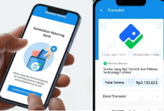 Baru Daftar Langsung Dapat Uang! Saldo DANA Rp500.000 Cair Tanpa Ribet!