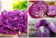 WajibTahu! Khasiat Kol Ungu yang Sering Terabaikan