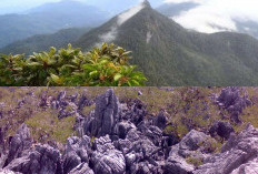 Terungkap! Misteri Alam Gunung Mekongga Fenomena Unik dan Keindahan yang Menyimpan Rahasia