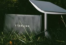Starlink Mulai Siapkan Layanan Koneksi ke HP Tanpa Operator, Revolusi di Dunia Telekomunikasi