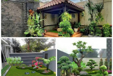 Konsep Taman Minimalis Modern. Untuk Perindah Rumah Cocok Untuk Bersantai