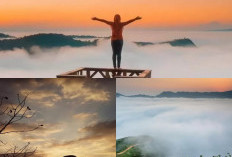 Gunung Bunter, Pesona Alam dan Petualangan di Surga Selfie di Atas Awan!