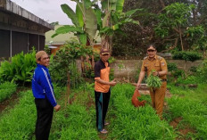 Manfaatkan Lahan Pekarangan untuk Tanam Sayuran dan Pelihara Ikan