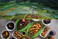 Surga Kuliner di Kaki Gunung Dempo! Ini 5 Restoran Populer di Pagar Alam yang Wajib Dikunjungi