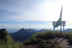 Menaklukkan Puncak 29 Muria, Surga Tersembunyi di Pegunungan Jawa Tengah