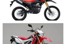 Siap Terjang Medan! 5 Varian Motor Trail Honda Lengkap dengan Harga dan Spesifikasi
