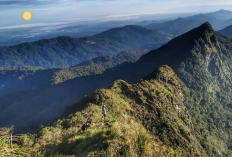 Jejak Pendakian Gunung Halau-halau: Dari Hutan Belantara ke Puncak Mistis Kalimantan Selatan