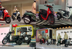 AHM Luncurkan Honda Scoopy Model Baru, Harganya Mulai Segini!