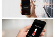 HP iPhone Sering Panas Saat Dipakai Kerja, Pengguna Atur Aplikasi Latar Belakang