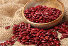 Yuk Simak 5 Manfaat Kacang Merah dan Kandungan Antioksidannya Yang Tinggi